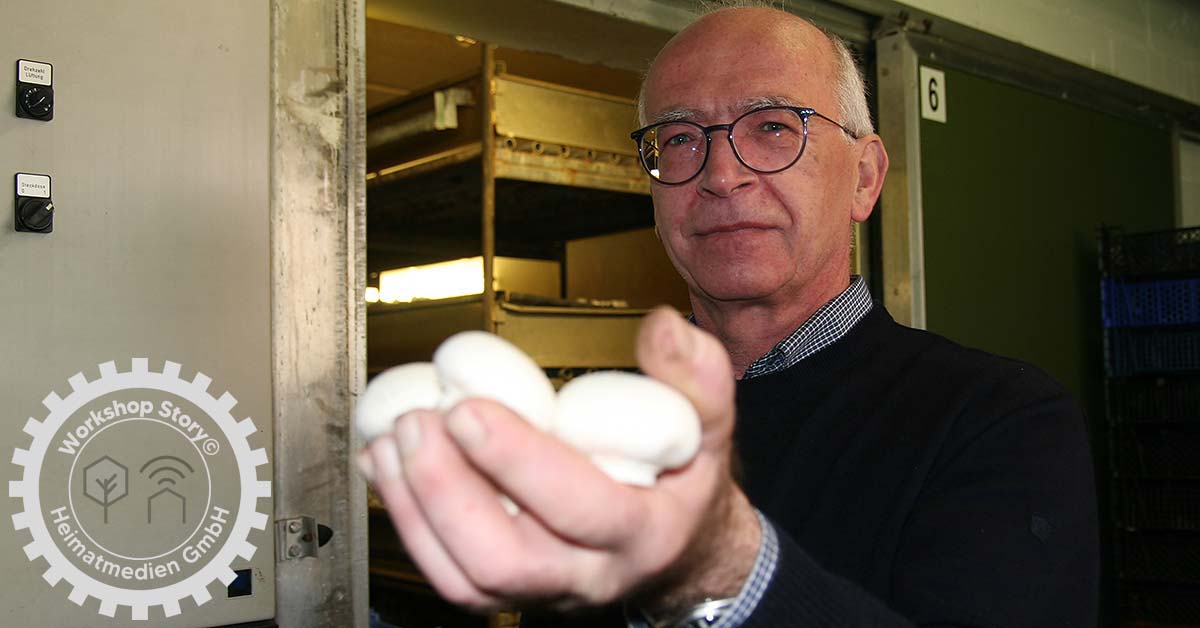 Champignons Herstellung Bernhard Möllers Workshop Story