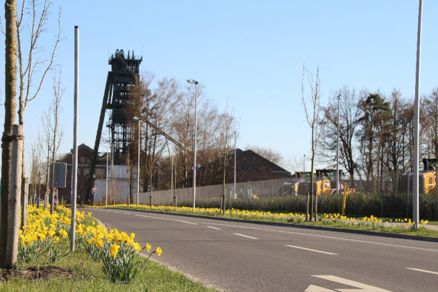 Meine Stadt Dorsten im Fr&uuml;hling