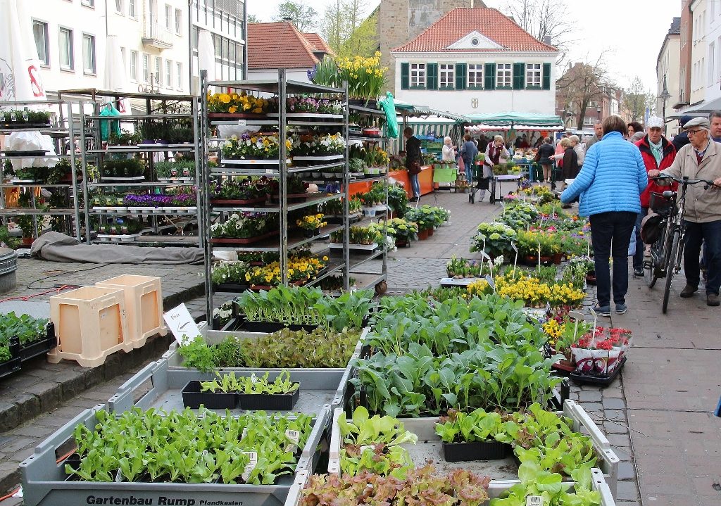 Markttage in Dorsten