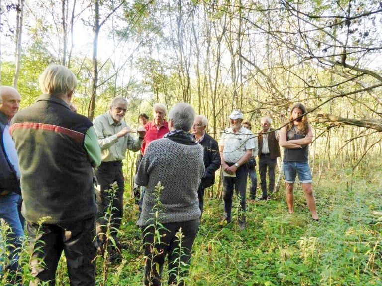 Wanderung über Zechenflächen