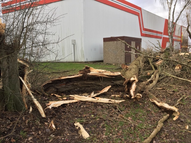 Video: Sturmtief Friederike – Aktueller Stand der Sturmfolgen in Dorsten