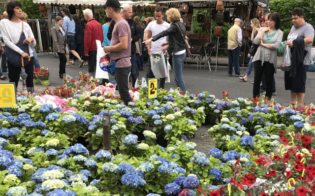 Blumenfest in Holsterhausen