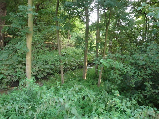 Grünflächen in Dorsten
