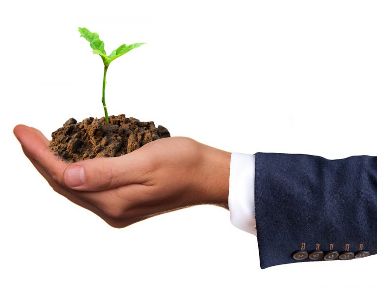 innogy Klimaschutzpreis