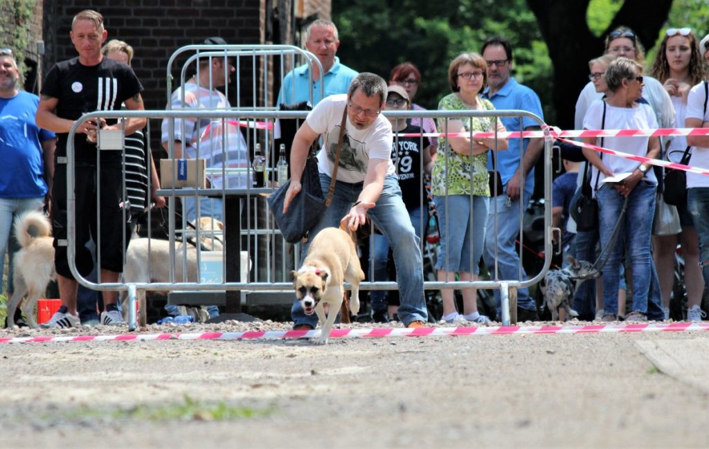 Dog Day 2018 Hervest-Dorsten
