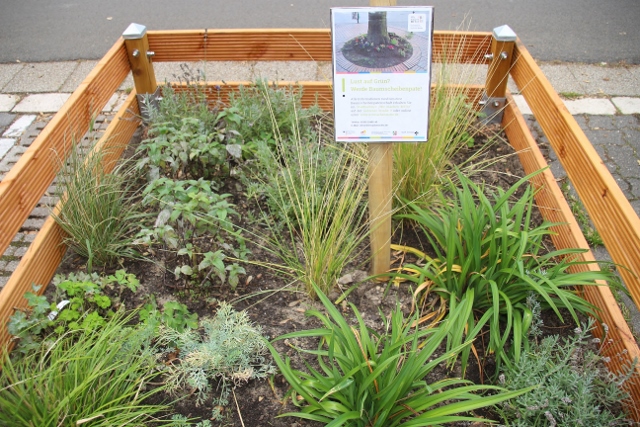 Wir machen Mitte Dorsten Blumenbeet und Baumscheibenpatenschaften
