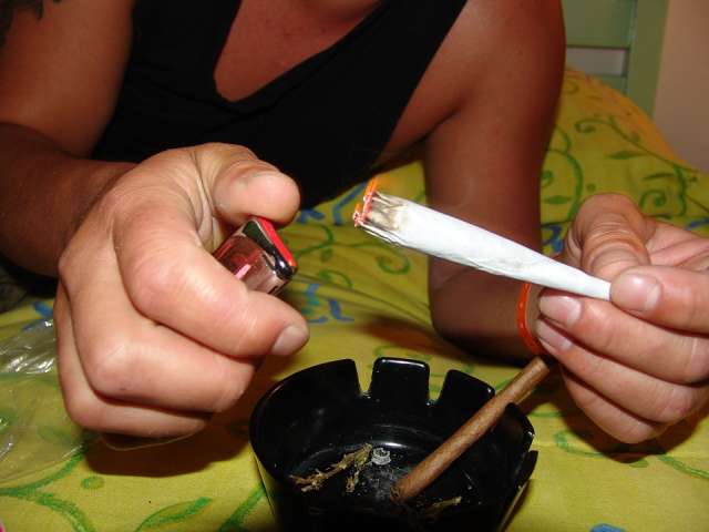 Cannabis Plantage