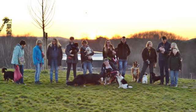 Hunderunde in Dorsten mit Tobias Stockhoff 