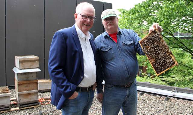 Bienen auf dem Kreishaus Recklinghausen