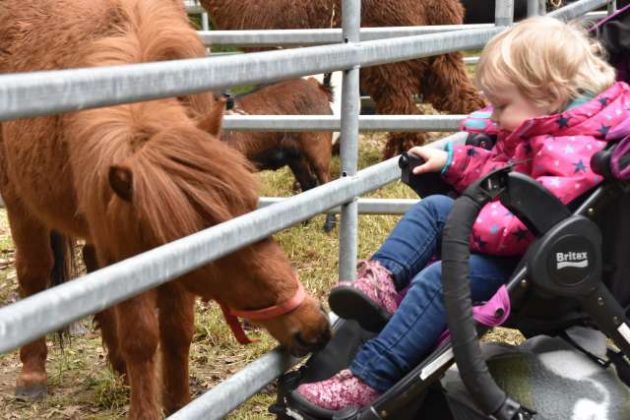 Tiermarkt Lembeck 2019
