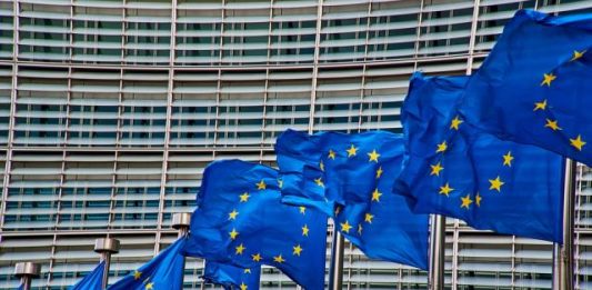 Europawahl 2019