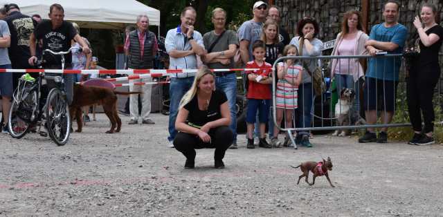Dorstener DogDay 2019 