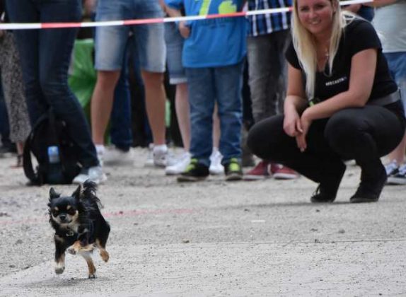Dorstener DogDay 2019