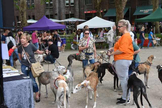 Dorstener DogDay 2019 