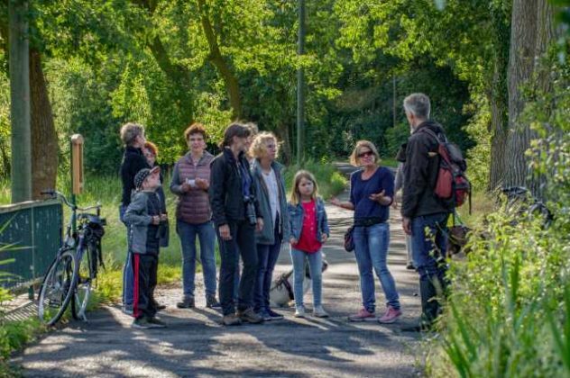 St&ouml;rche br&uuml;ten in Dorsten Deuten