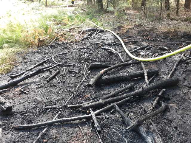 Waldbrand Hohe mark Lembeck