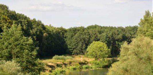 Lippe bei dorsten