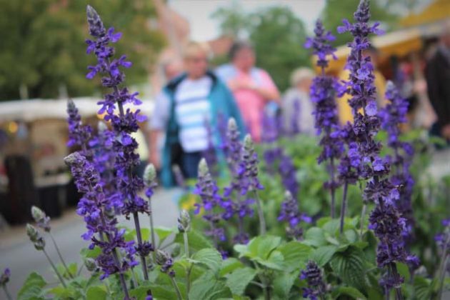 Familienfest Holsterhausen