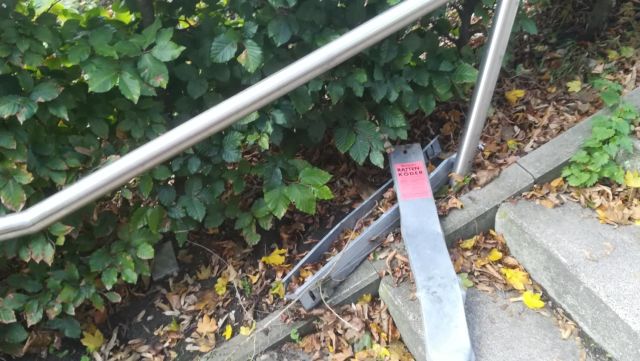 Ratten Stadt Dorsten
