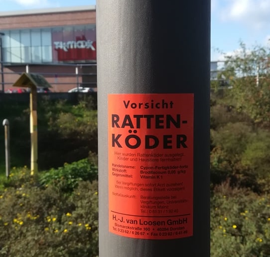 Rattenköder Stadt Dorsten