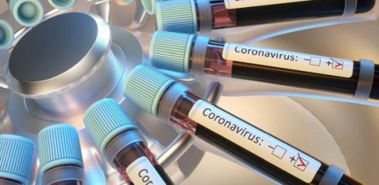 corona-virus panthermedia