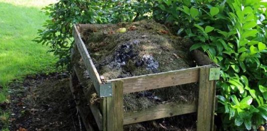 Gartenabfälle Coronakrise