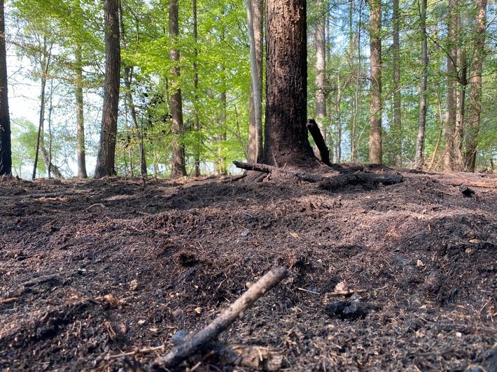 Waldbrand Dorsten-Lembeck