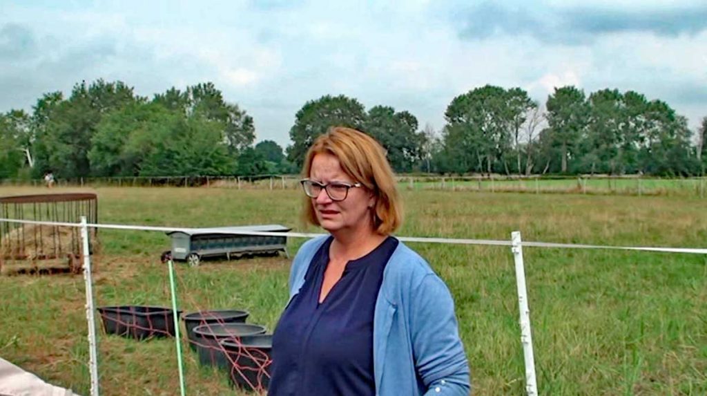 Schafriss-Gloria-von-Wesel-Christiane-Rittmann