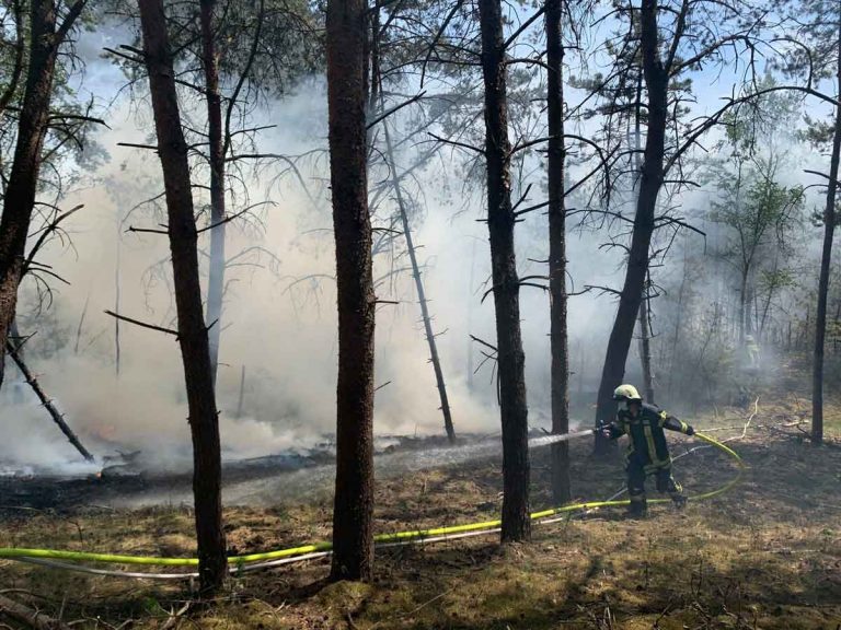 Waldbrand-in-Halter-August-2020