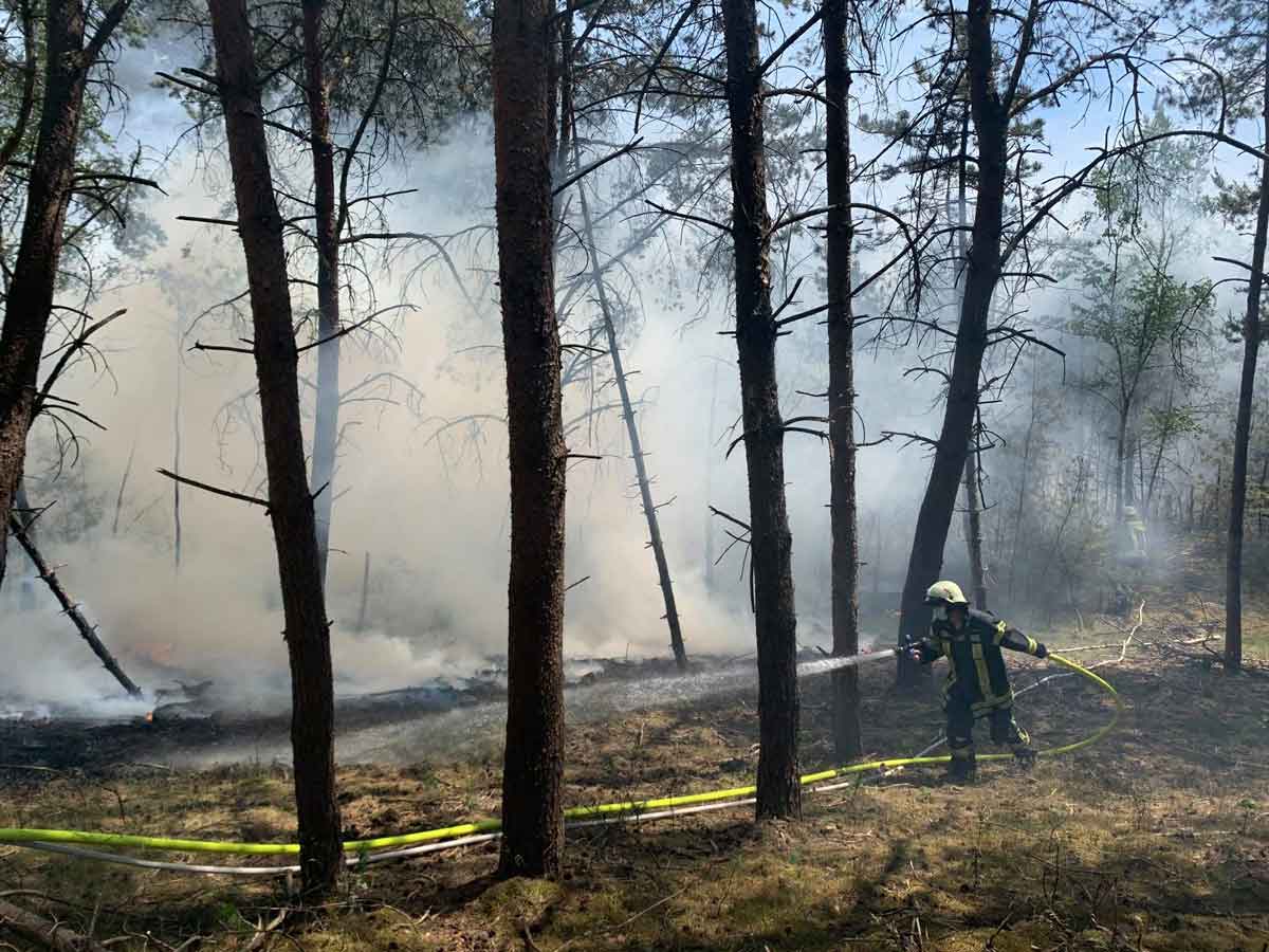 Waldbrand-in-Halter-August-2020