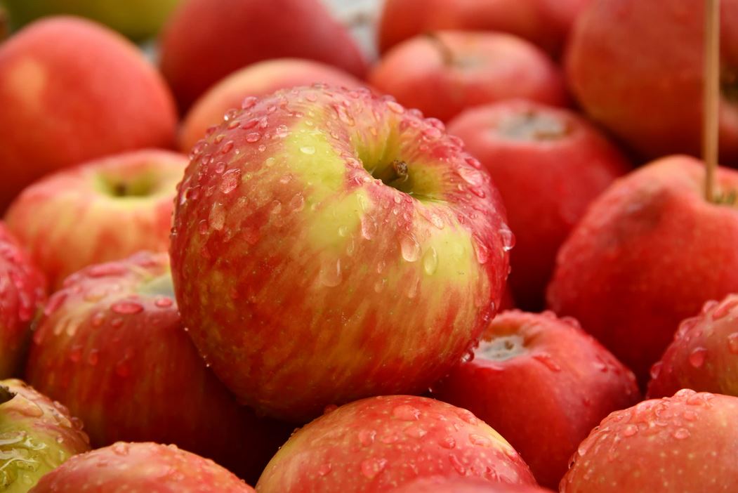 Apfel_Welternährungstag