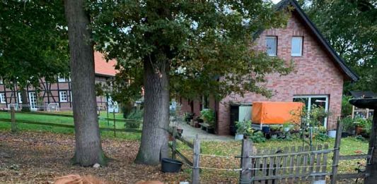 Pony-in-Kirchhellen-von-Wolf-gerissen