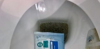Welttoilettentag