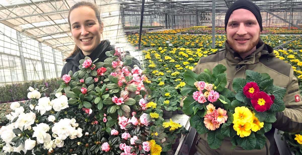 Blumen-Aldenhoff-und-Hethor
