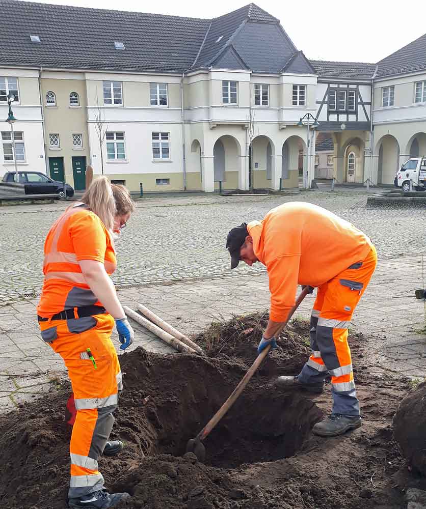 Bepflanzung-Brunnenplatz