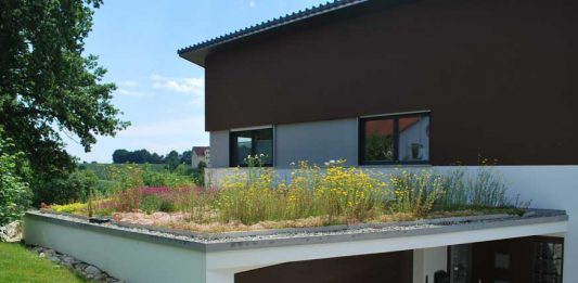 Dachbegrünung-Dorsten-Fördermittel