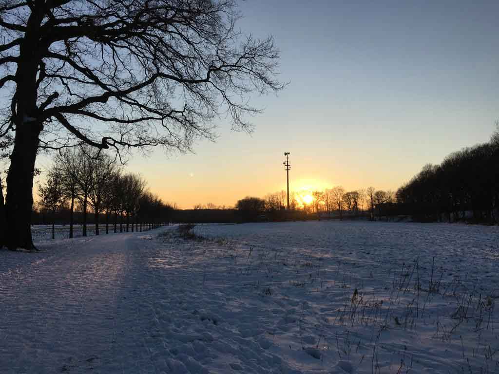 Winter-Dorsten-2021
