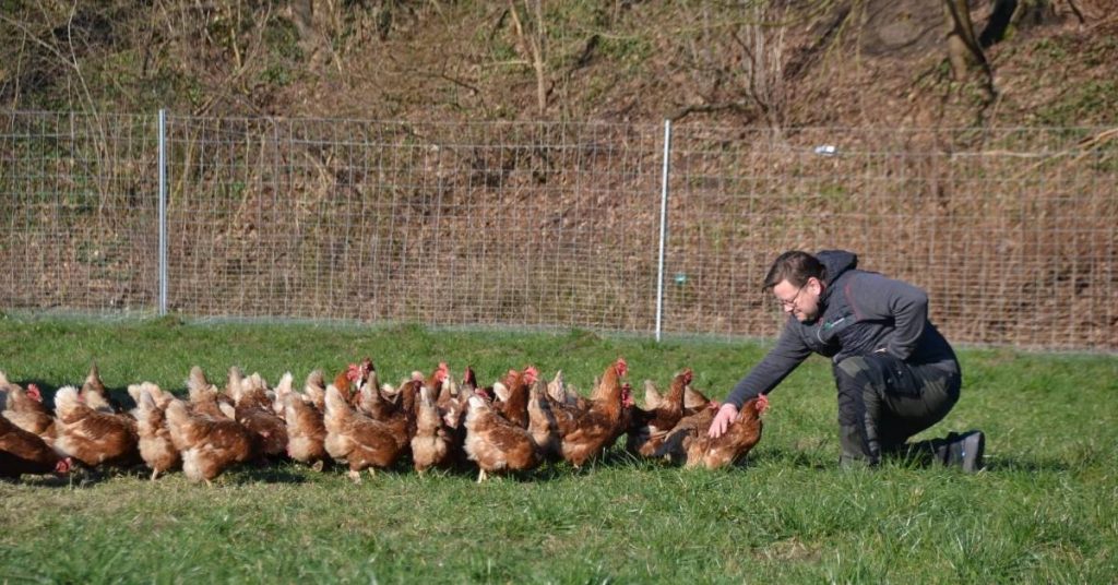 Eier Seite Beitragsbild