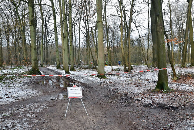 Sturmschäden-NRW