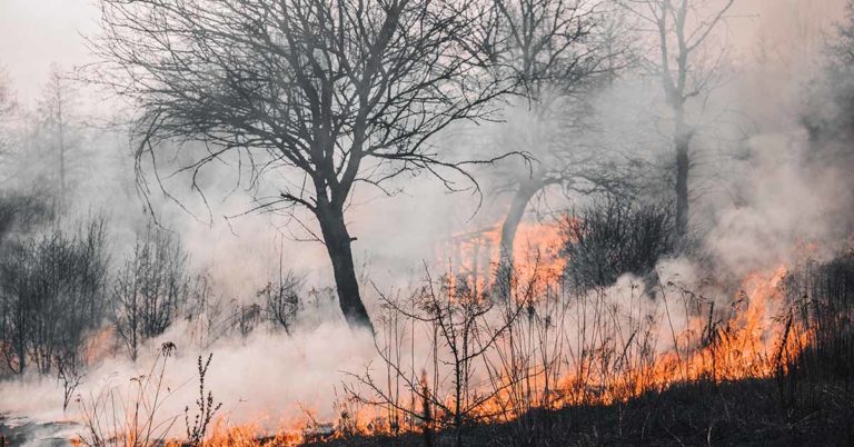 Waldbrandgefahr