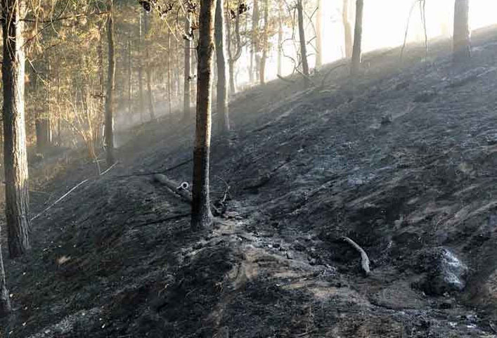 Böschungs--und-Waldbrand-Schermbeck-A31