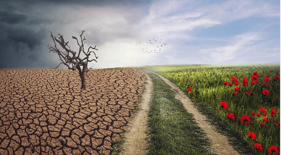 Klimawandel NRW 2022