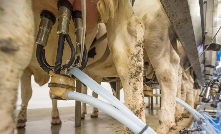 Landwirtschaftliche Produkte