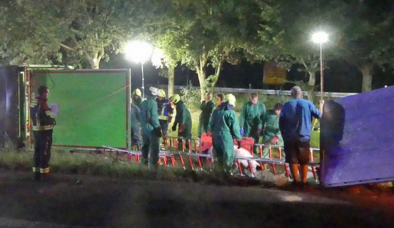 Schweine-nach-Unfall-auf-A31-bei-Lembeck-verendet