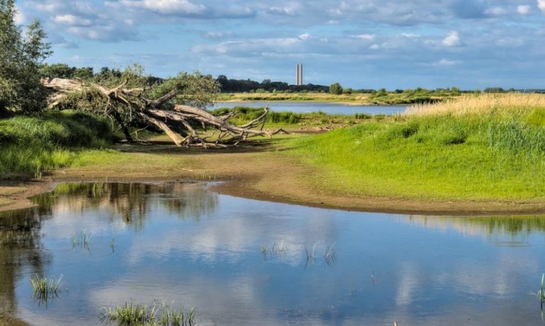 Trockenheit niedrige Wasserstände im Kreis Recklinghausen
