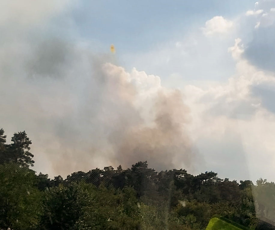 Wald-und-Böschungsbrand-Üfter-Mark-Dorsten-Schermbeck
