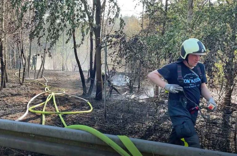 Waldbrand-Üfter-Mark-Böschung-Autobahn-31-Dorsten-Schermbeck