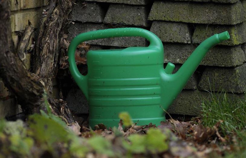 Wasserspende Bäume Dorsten