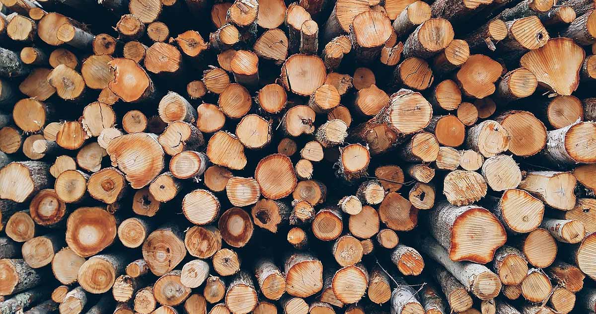 Kaminholz Brennholz falsche Holzverkäufer