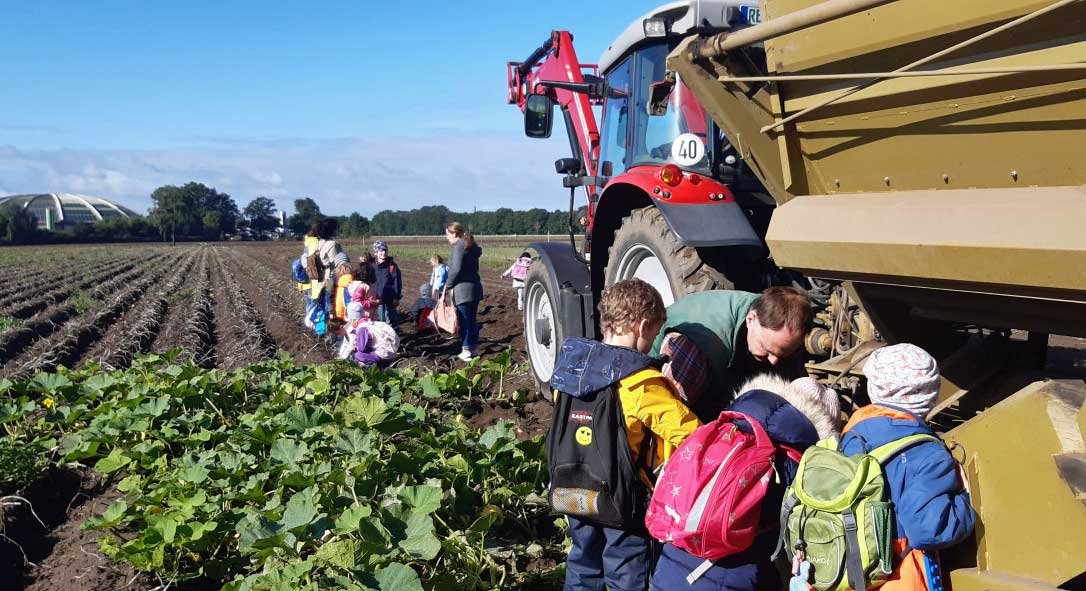 Kartoffelernte-Schüler-Augustaschule-helfen-in-Dorsten